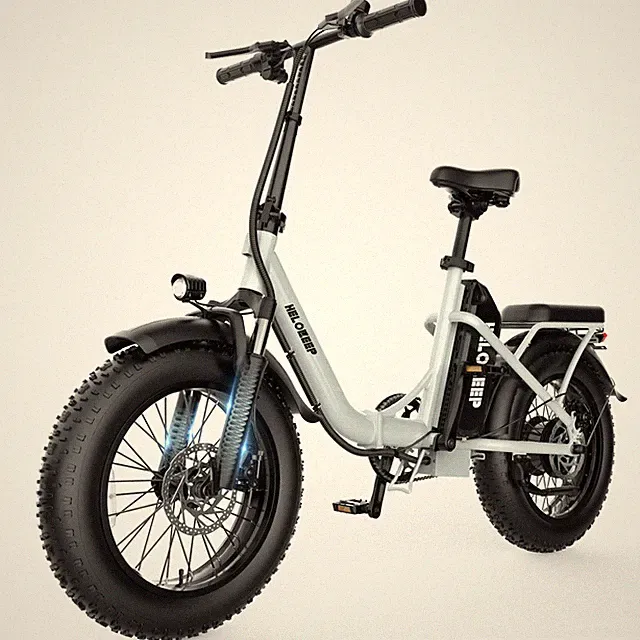 16" ebike 750W Peak City Bike 48V 10Ah Folding bicycle Fat Tire for Adults Ebike