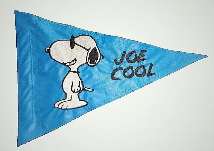 Personalize Snoopy Triangle Safety Flag Recumbent Trike Bicycle Kayak ATV 10x13